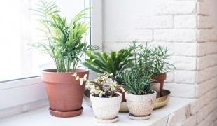 งานต่อเติม ออกแบบตกแต่งภายใน การตกแต่งบ้าน แต่งบ้านปี64 เทรนด์การแต่งบ้านปี2021 แต่บ้านให้น่าอยู่ เฟอร์นิเจอร์บิวท์อิน บิ้วอิน บิลท์อิน furniturebuiltin builtin furniture condo คอนโด pantone ไม้ วัสดุบิ้วอิน 