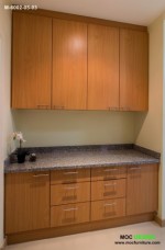 แพลนทรี ตู้โชว์ เฟอร์นิเจอร์ บิ้วอิน บิวท์อิน เฟอร์นิเจอร์บิ้วอิน ตู้เสื้อผ้าบิ้วอิน ครัวบิ้วอิน ครัวบิ้วอินราคาถูก furniture ร้านบิ้วอินกรุงเทพ โรงงานเฟอร์นิเจอร์ Walkincloset ตกแต่งคอนโด บ้านเดี่ยว คอนโด บิ้ วอิน pantip builtin modernfurniture 