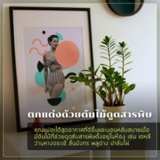 แต่งห้องสำหรับคุณแม่_๑๙๐๘๑๐_0002